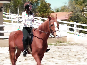 Sinn Sage plus her stunning lesbian partner palpate each other's bodies on a sticky pony